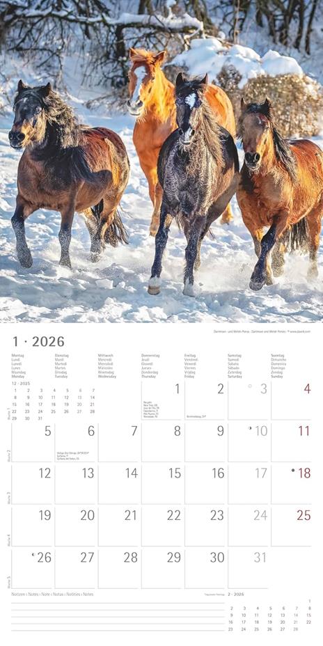 ALPHA EDITION - Calendario 2026 da muro, 12 mesi, 30x30 cm, Horses - 4