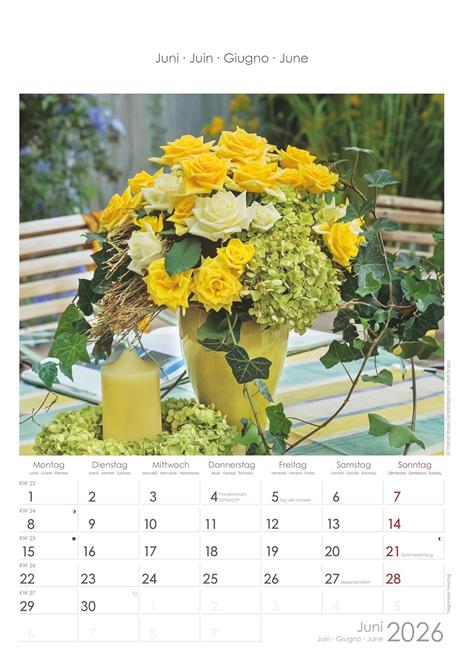 ALPHA EDITION - Calendario 2026 da muro, 12 mesi, 23,7x34 cm, Rose Dreams - 6