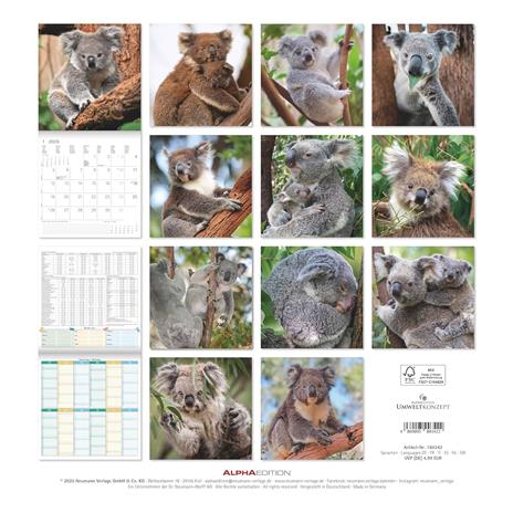 ALPHA EDITION - Calendario 2026 da muro, 12 mesi, 30x30 cm, Koalas - 2
