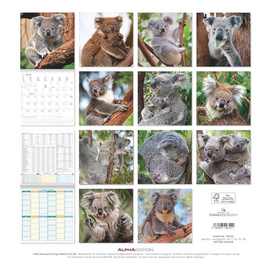ALPHA EDITION - Calendario 2026 da muro, 12 mesi, 30x30 cm, Koalas - 2