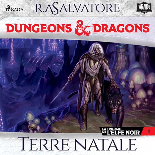 La Trilogie de l'Elfe noir – tome 1 – Terre natale