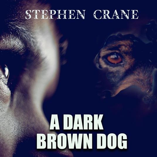 A Dark Brown Dog
