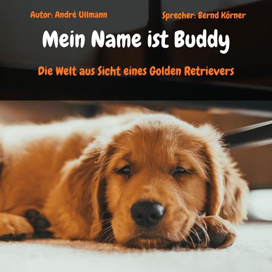 Mein Name ist Buddy - Die Welt aus Sicht eines Golden Retrievers