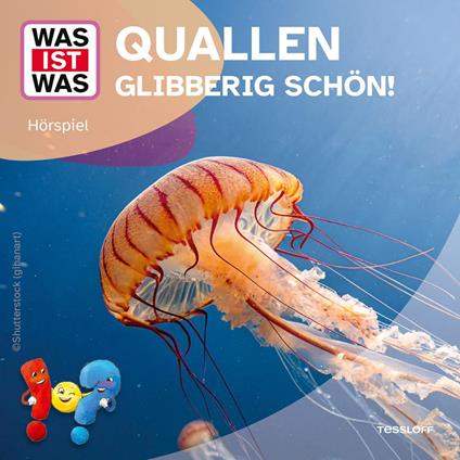 Quallen - glibberig schön!
