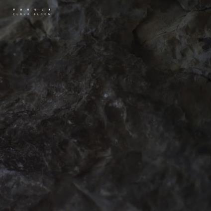 Cloud Bloom - Vinile LP di Vakula
