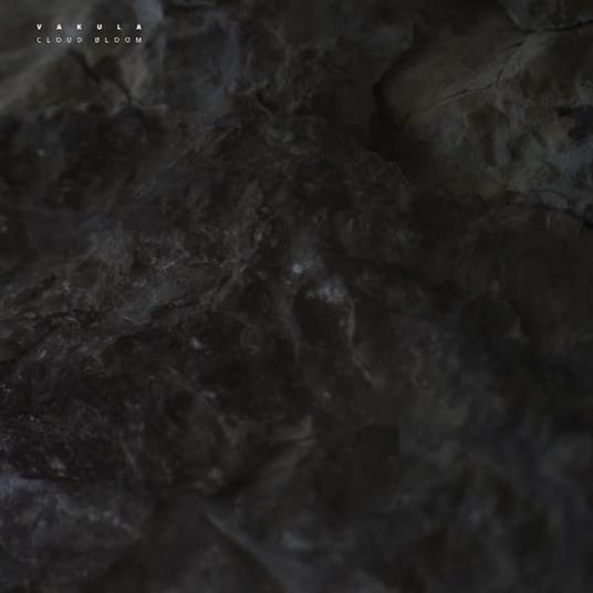 Cloud Bloom - Vinile LP di Vakula
