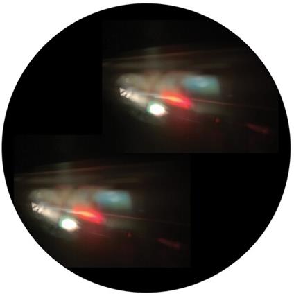 Image - Vinile LP di Tigerskin