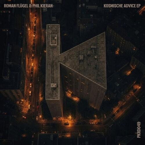 Kosmische Advice - Vinile LP di Roman Flugel