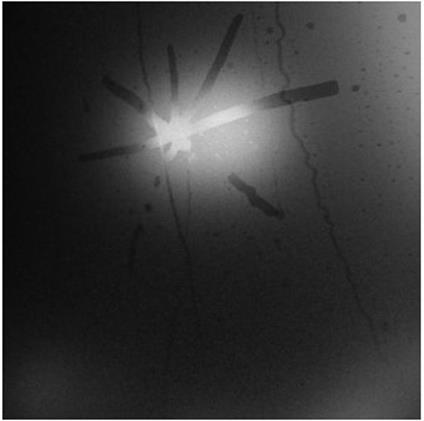 Spiral In A Straight Line - CD Audio di Touche Amore