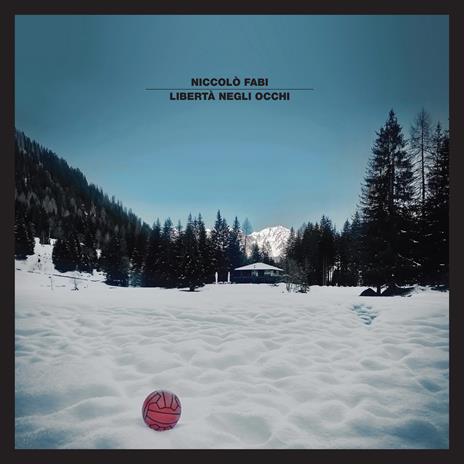 Libertà negli occhi (CD BOOK ed. limitata e numerata) - CD Audio di Niccolò Fabi - 2