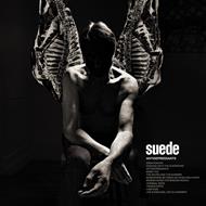Antidepressants (CD Digisleeve + Booklet 16 pag.)