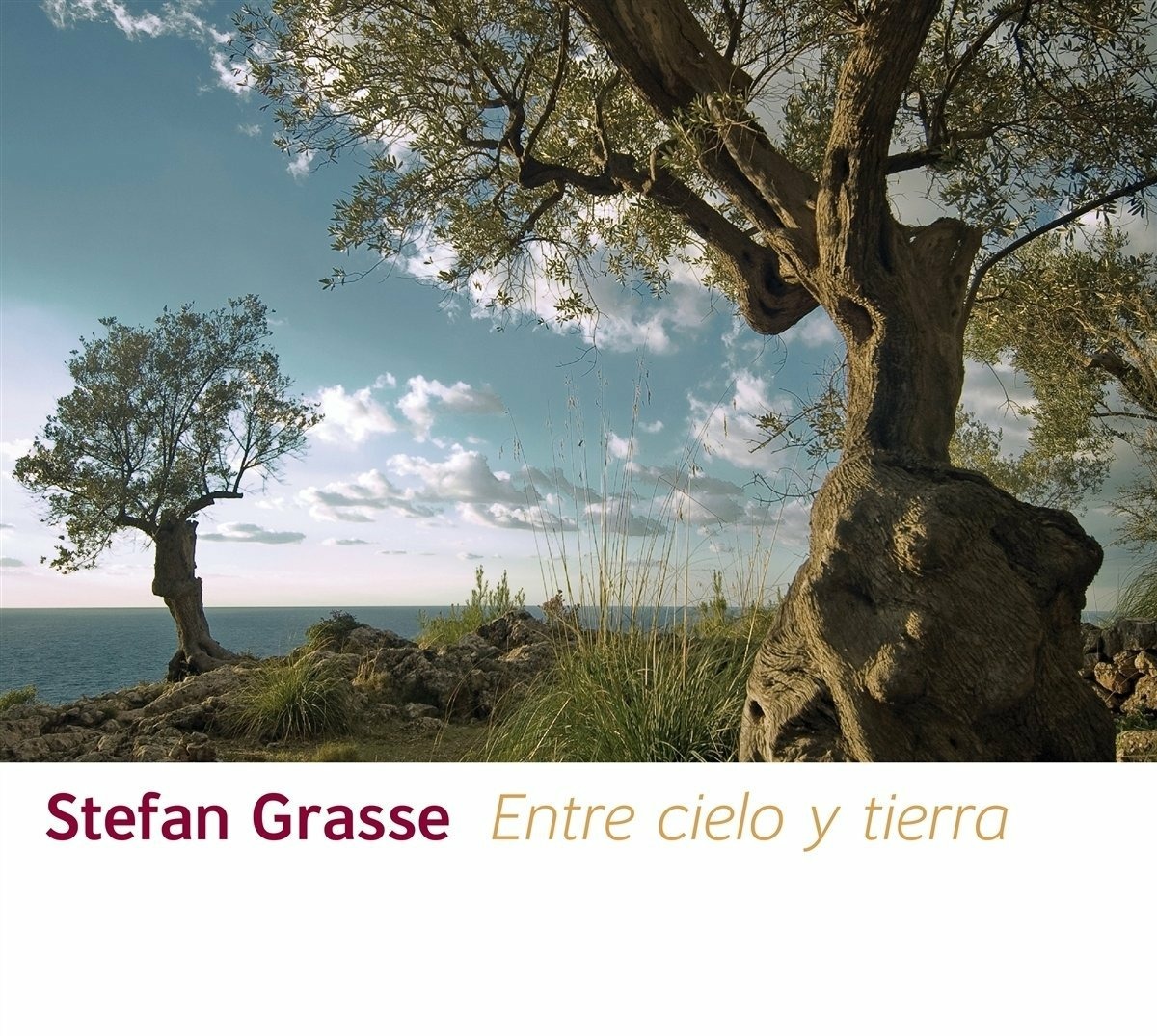 ibs