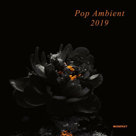 Pop Ambient 2019 - Vinile LP