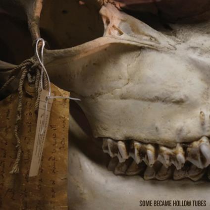 Keep it in the Ground (Coloured Vinyl) - Vinile LP di Some Became Hollow Tubes