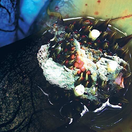 In Real Life Julia Reidy Lp - Vinile LP di Julia Reidy