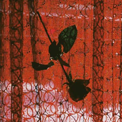 Visible Cloaks Remix - Vinile LP di Studio Mule