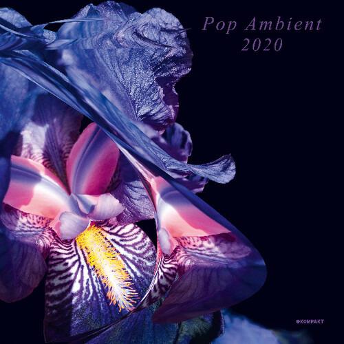 Pop Ambient 2020 - Vinile LP