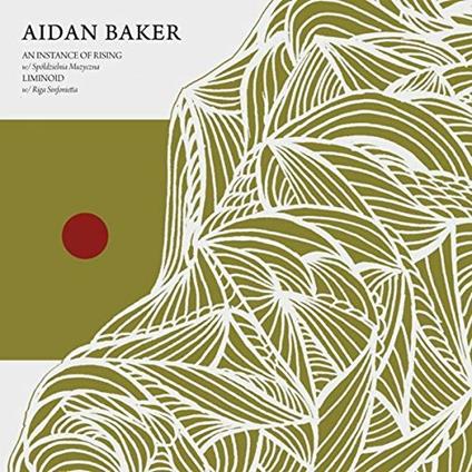 An Instance Of Rising Liminoid - CD Audio di Aidan Baker