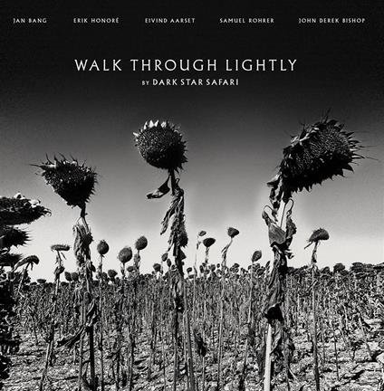 Walk Through Lightly - Vinile LP di Dark Star Safari
