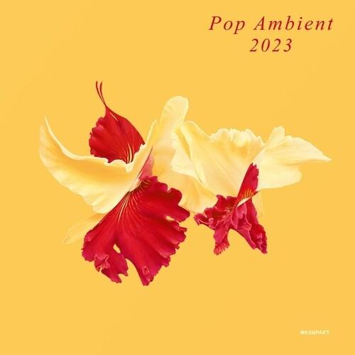 Pop Ambient 2023 - Vinile LP