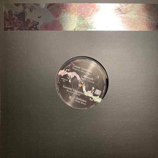 Acid Explorations (12) - Vinile LP