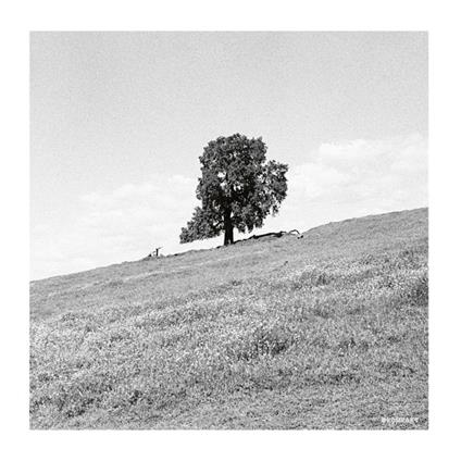 Cornered - CD Audio di Blank Gloss