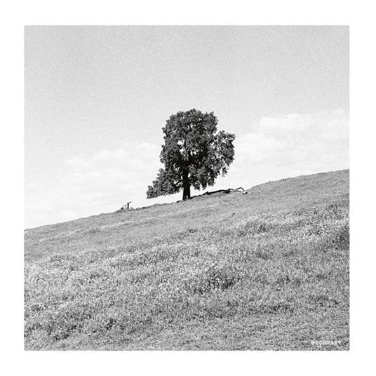 Cornered - CD Audio di Blank Gloss