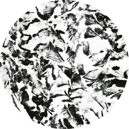 Anata - Vinile LP di Mathimidori