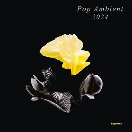 Pop Ambient 2024 - Vinile LP