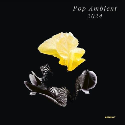 Pop Ambient 2024 - Vinile LP