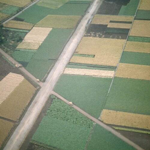 Celer-Perfectly Beneath Us (Remastered) - Vinile LP di Celer