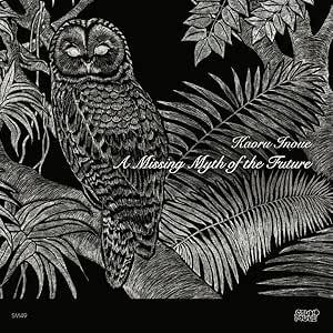 Missing Myth Of The Future - Vinile LP di Kaoru Inoue