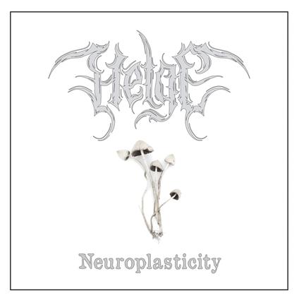 Neuroplasticity - Vinile LP di Helge