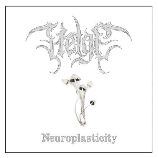Neuroplasticity - Vinile LP di Helge