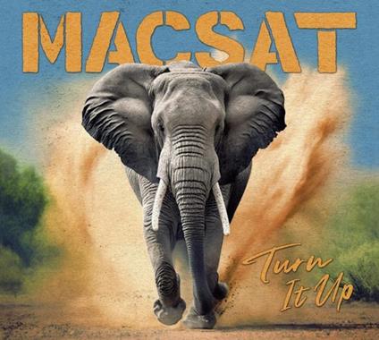 Turn It Up - CD Audio di Macsat