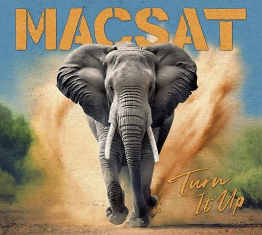 Turn It Up - CD Audio di Macsat