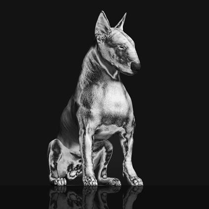 Platinum Statue - CD Audio di Riskee & The Ridicule