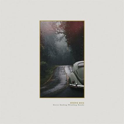 Never Ending Winding Roads - Vinile LP di Steve Bug
