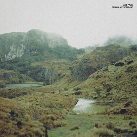 Den Mahlstrom Rauf - Vinile LP di Acid Pauli