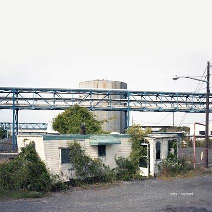 Am Yard - Vinile LP di Snad