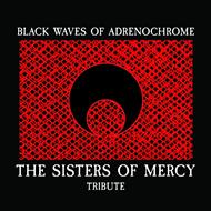 The Sisters of Mercy Trubute