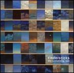 The Something Rain - CD Audio di Tindersticks