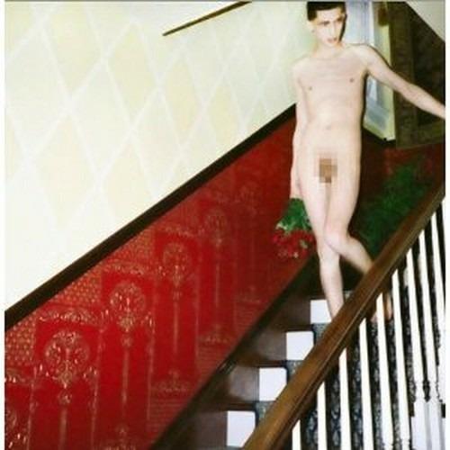 Endless Flowers - CD Audio di Crocodiles