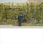 Good Luck and Do Your Best - CD Audio di Gold Panda