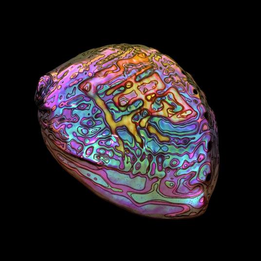 Belonging (White Coloured Vinyl) - Vinile LP di Ian Chang