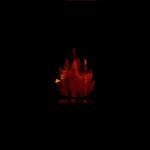 Feuer (Orange Coloured Vinyl)
