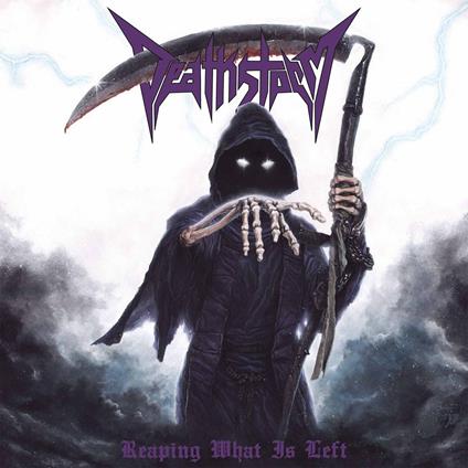 Reaping What Is Left - CD Audio di Deathstorm