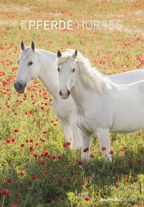 Calendario 2023 da muro Cavalli, Alpha Edition, 12 mesi, 23x34 cm