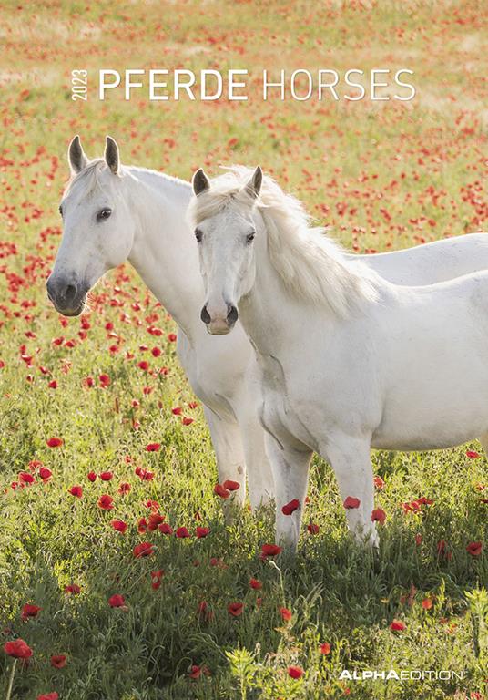 Calendario 2023 da muro Cavalli, Alpha Edition, 12 mesi, 23x34 cm