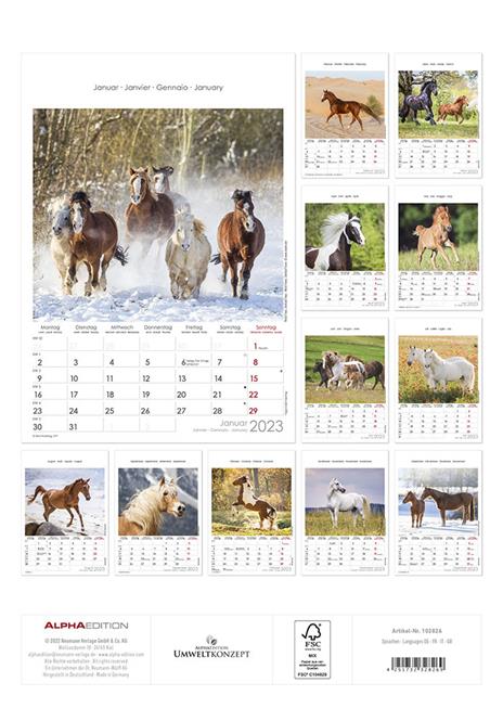 Calendario 2023 da muro Cavalli, Alpha Edition, 12 mesi, 23x34 cm - 14